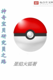 Pokémon Researcher Road